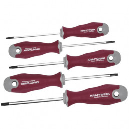 Set screwdriver for TX inlay 40x20 with 5 tools - KRAFTWERK
