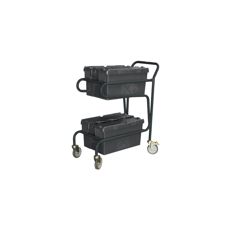 Carriage rack, 2 levels, CU 100 kg - FIMM