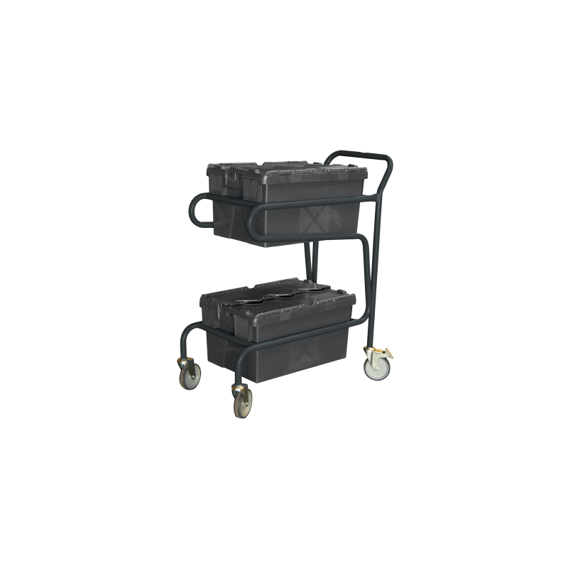 Chariot porte-bacs, 2 niveaux, CU 100 kg - FIMM